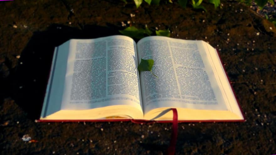 Bible holy book christianity christian god s words faith believe jesus